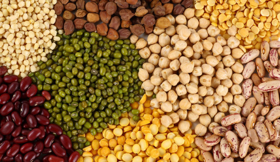 Beans and Peas Lower Cholesterol